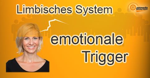 Das Limbische System – Emotionale Trigger im Neuromarketing